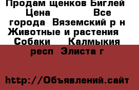 Продам щенков Биглей › Цена ­ 15 000 - Все города, Вяземский р-н Животные и растения » Собаки   . Калмыкия респ.,Элиста г.